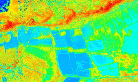 remote sensing, botanical map, vegetation