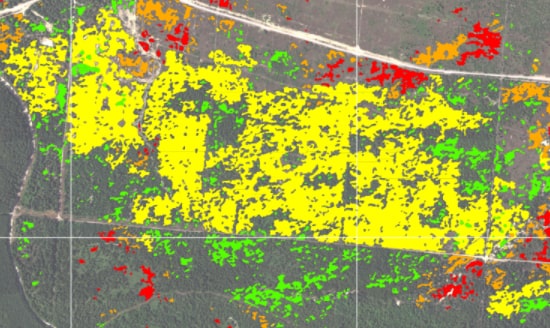 remote sensing, botanical map, vegetation