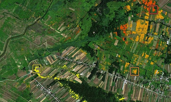 remote sensing, botanical map, vegetation
