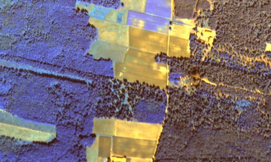 remote sensing, botanical map, vegetation
