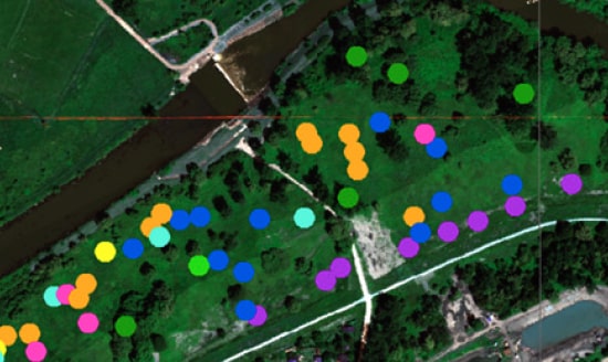 remote sensing, botanical map, vegetation