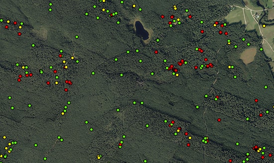 remote sensing, botanical map, vegetation